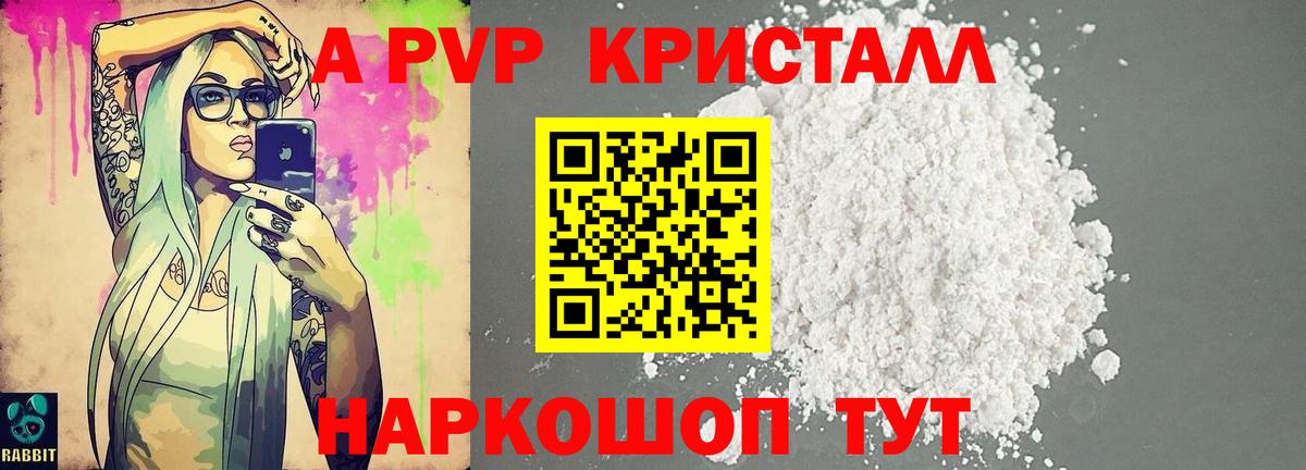 Alfa_PVP СК Грозный