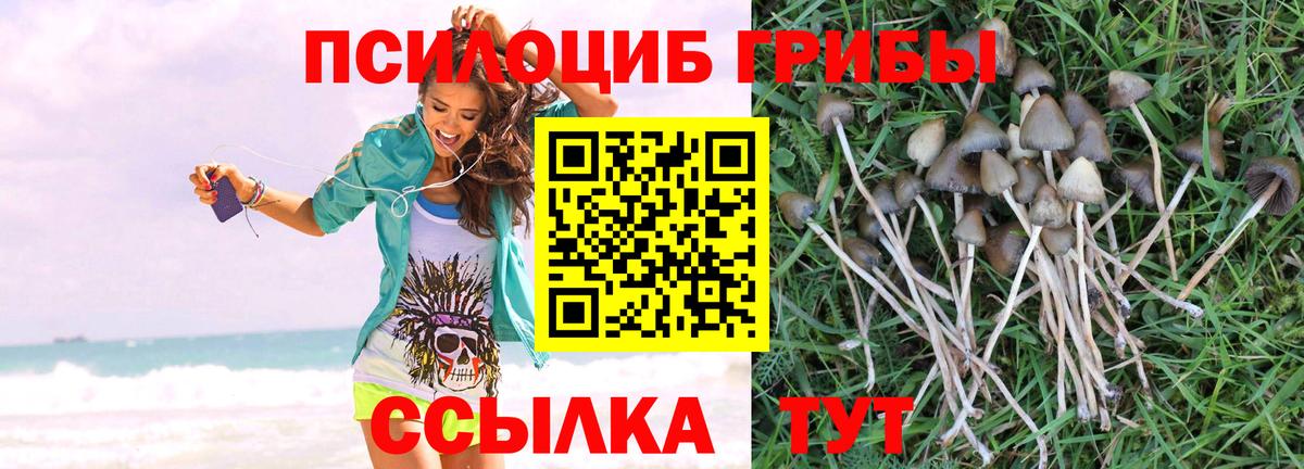 Псилоцибиновые грибы мухоморы Грозный