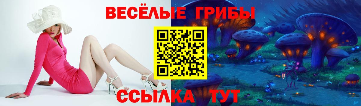 Грозный  Галлюциногенные грибы MAGIC MUSHROOMS  Псилоцибиновые грибы прущие грибы  Вход с VPN 