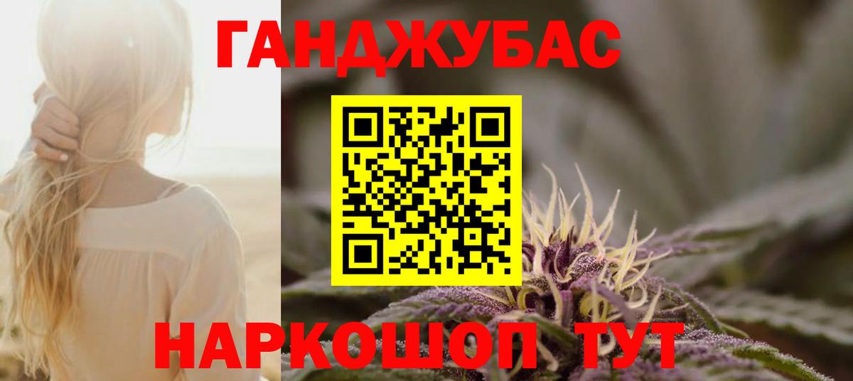 Бошки Шишки планчик Грозный